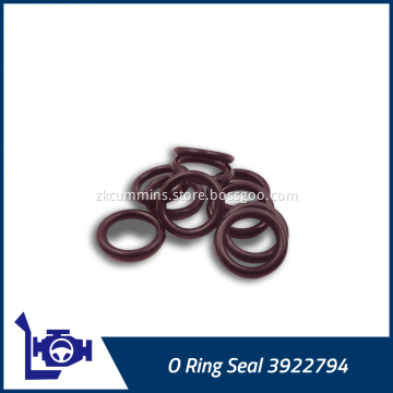 3922794 Cummins O Ring Seal